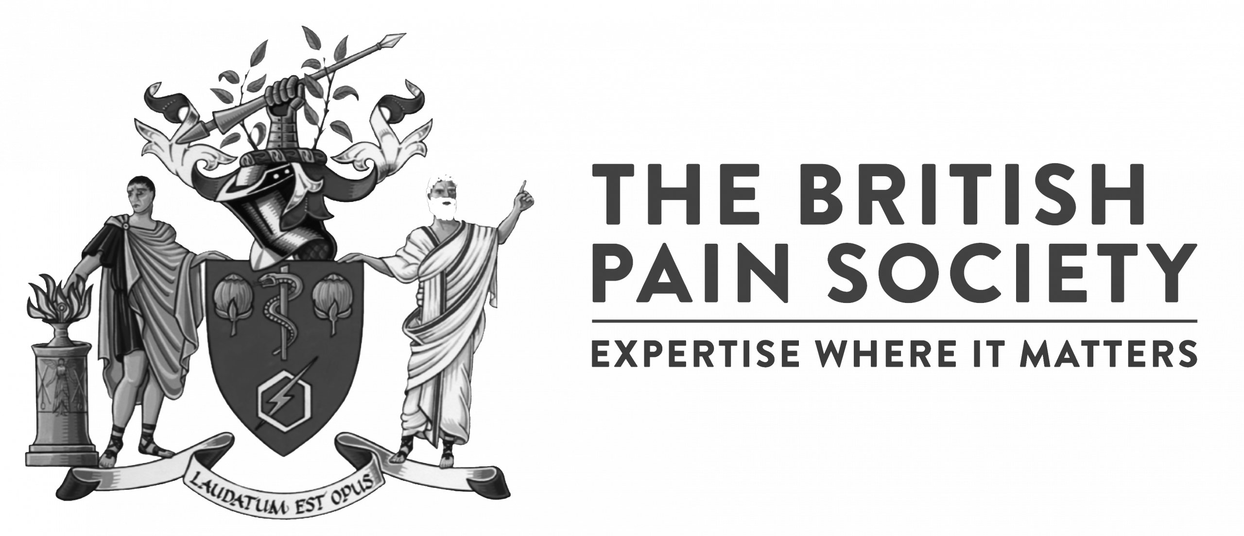 The British Pain Society
